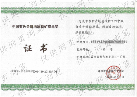 云南省有色地质局三一〇队